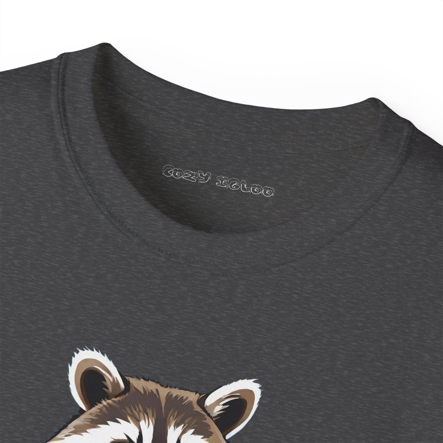 A Raccoon but he's playing guitar - Cozy Igloo